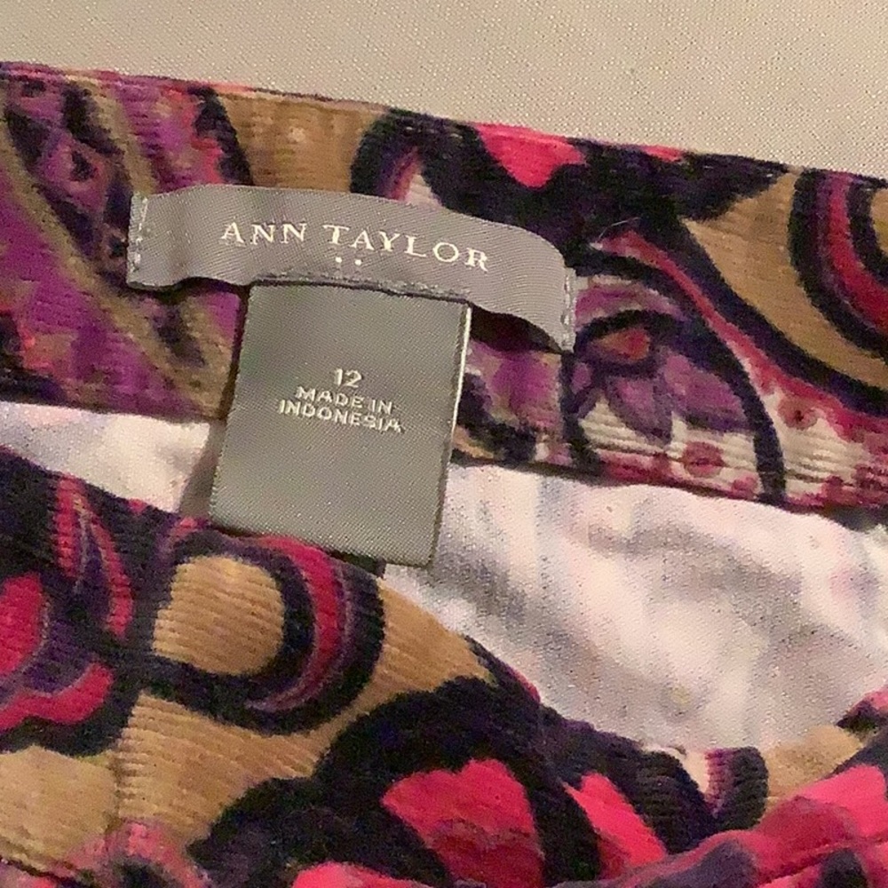 Ann Taylor skirt